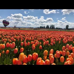 Meet your Posher, Sam